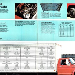 1979 Ford F-Series Trucks (Cdn)-06-07