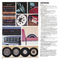 1985_Ford_F-Series_Pickup_Cdn-Fr-20