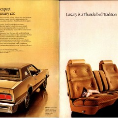 1974 Ford Thunderbird Canada 04-05