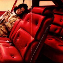 1974 Ford Thunderbird Canada 06-07