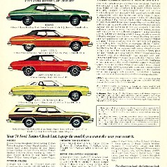 1974_Ford_Torino_Cdn-20