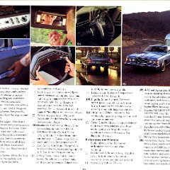 1977_Ford_LTD_Cdn-11