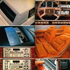 1980_Lincoln_Continental__Mk_VI_Cdn-24-25