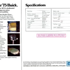 1975_Buick_Skyhawk_Cdn-08