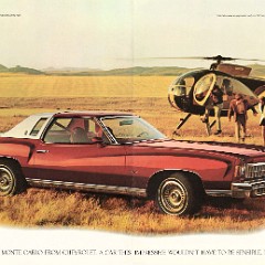 1975_Chevrolet_Monte_Carlo_Cdn-02-03