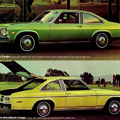 1976_Chevrolet_Concours__amp__Nova__Cdn_-02