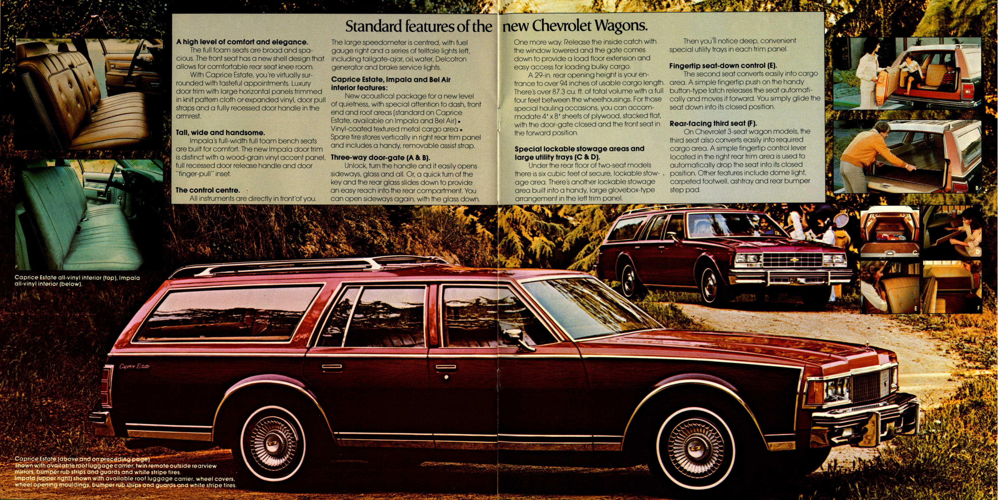 1977_Chevrolet_Full_Size_Cdn-18-19