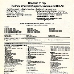 1979_Chevrolet_Full_Size_Cdn-16