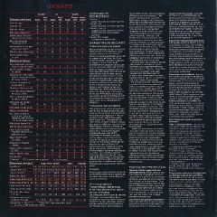 1985_Chevrolet_Cavalier_Cdn-Fr-08