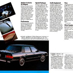 1986_Chevy_Celebrity_Cdn-07