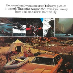 1976_Oldsmobile_Cutlass__Omega_Cdn-10