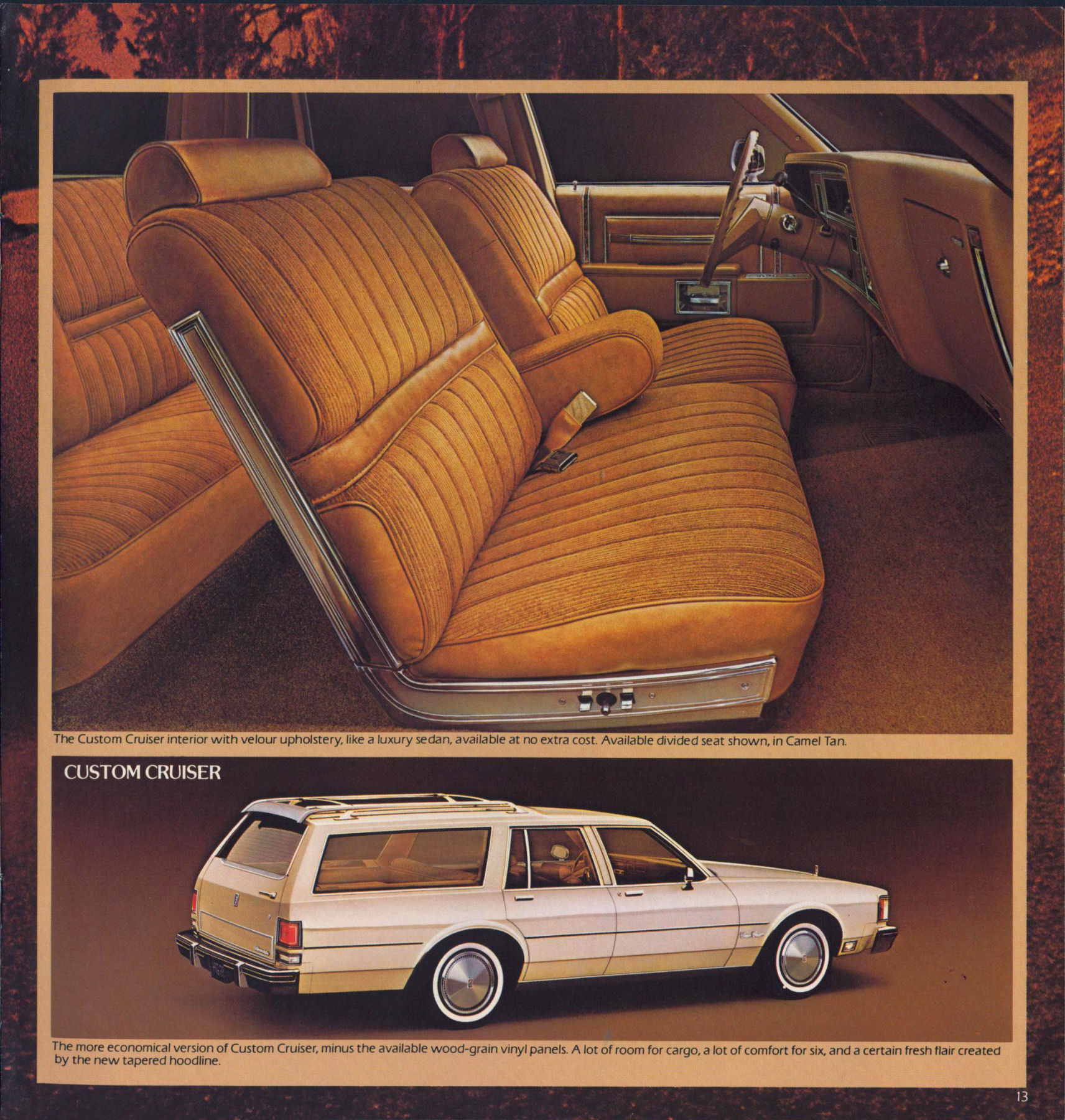 1980_Oldsmobile_Full_Size_Cdn-13