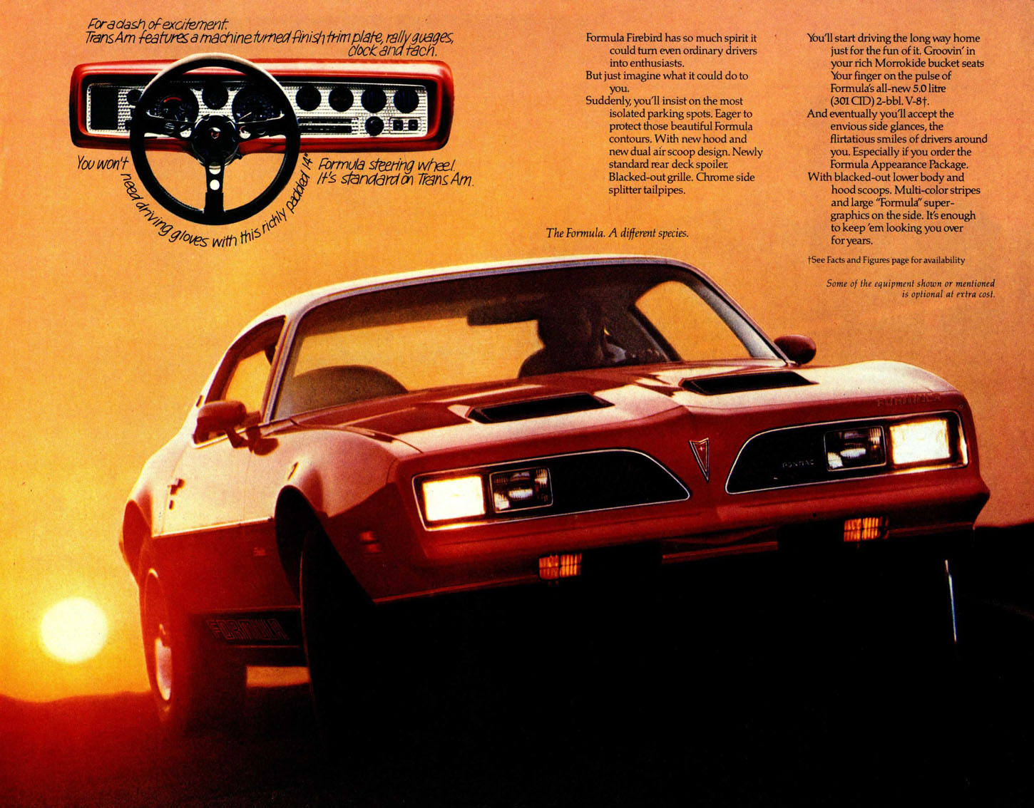 1977_Pontiac_Firebird_Cdn-03