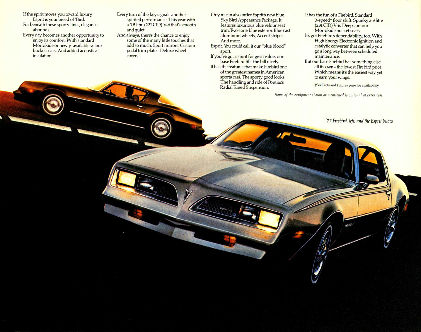 1977_Pontiac_Firebird_Cdn-04
