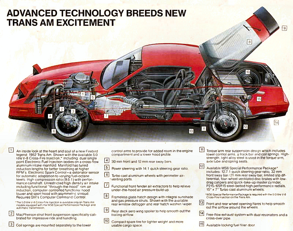 1982_Pontiac_Firebird_Cdn-05