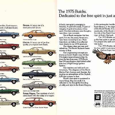 75Buick02-03
