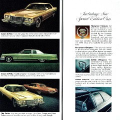 1974 Cadillac (TP).pdf-2023-12-13 13.1.4_Page_06