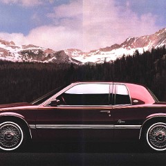 1990 Buick Full Line Prestige.pdf-2023-12-21 16.21.44_Page_11