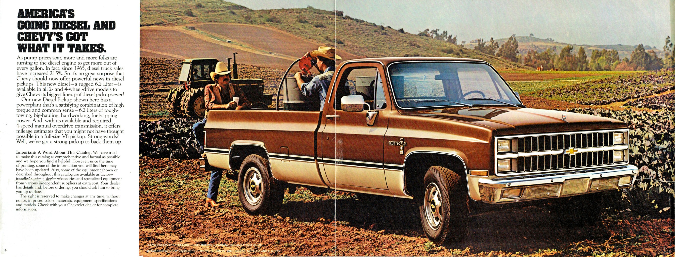 1982 Chevy Pickups_4