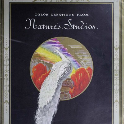 1927 Cadillac & LaSalle Color Creations