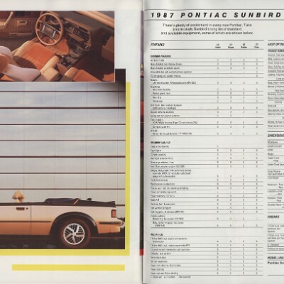 1987 Pontiac Performance Cars Brochure (Cdn) 18-19