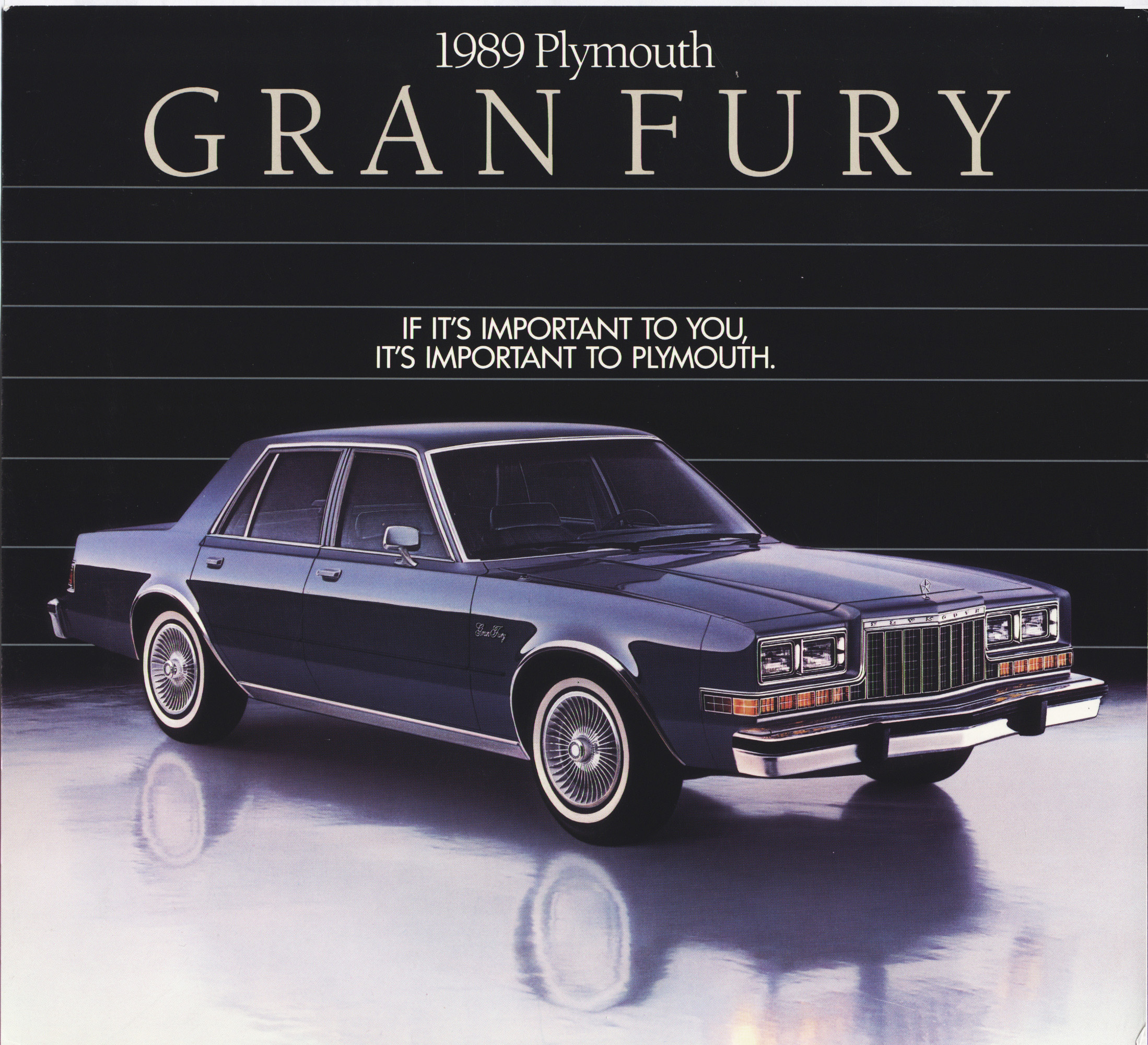 1989 Plymouth Gran Fury Data Sheet_01
