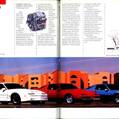 1990 Pontiac Compacts-Firebird Brochure (Cdn) 10-11