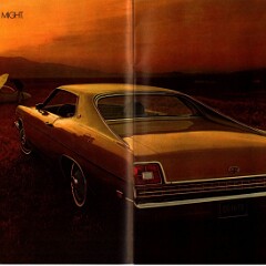 1969 Ford Full Size Brochure (Cdn) 10-11