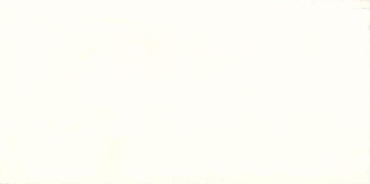 88cadbrocimcol06