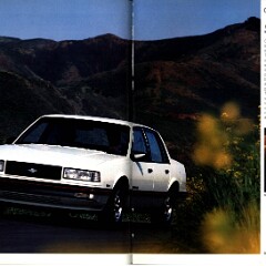 1989 Chevrolet Cars Full Line Brochure 44-45