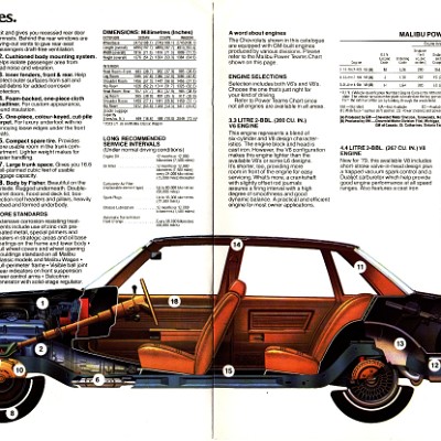 1979 Chevrolet Malibu Brochure Canada 12-13