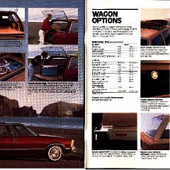1981 Chevrolet Malibu Brochure (Cdn) 18-19