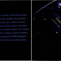 2000 Pontiac Firebird Brochure 06-07