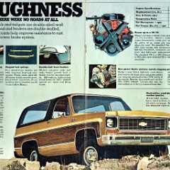 1974 Chevrolet Blazer_3