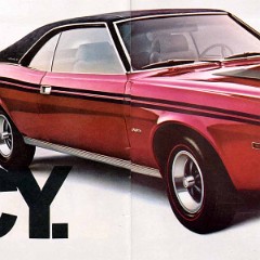 1969_AMC_Full_Line-16-17