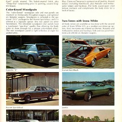1973_AMC_Exterior_Colors_Chart-02