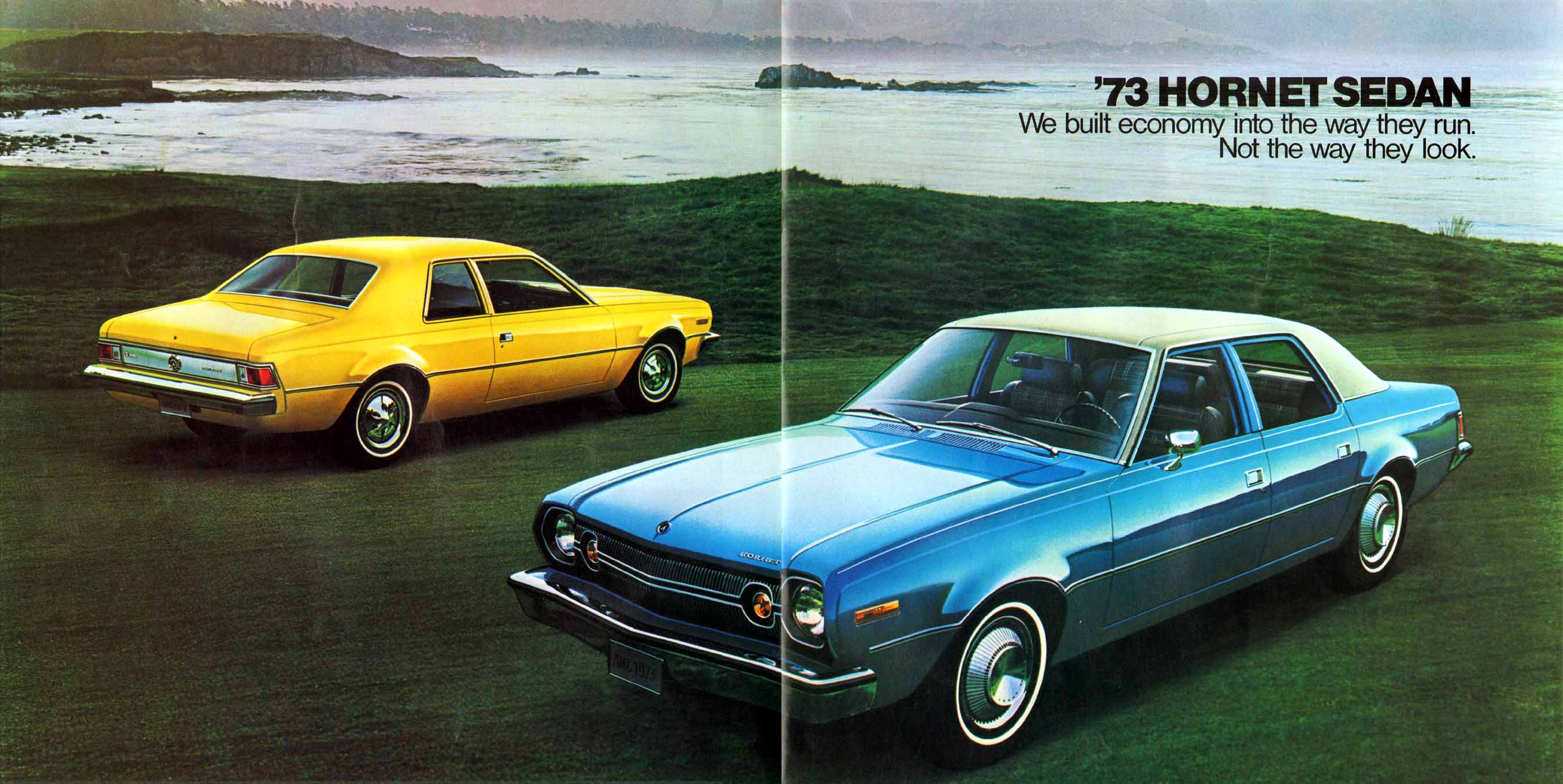 1973_AMC_Full_Line_Prestige-18-19