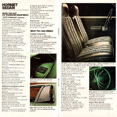 1973_AMC_Full_Line_Prestige-20-21