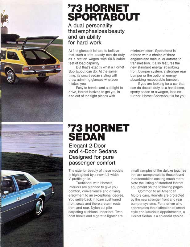 1973_American_Motors-08