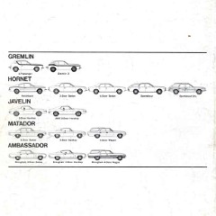 1973_American_Motors-23