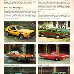 1974_AMC_Exterior_Color_Chart-02