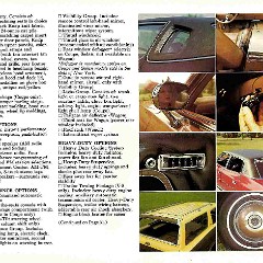 1976_AMC_Passenger_Cars_Prestige-30