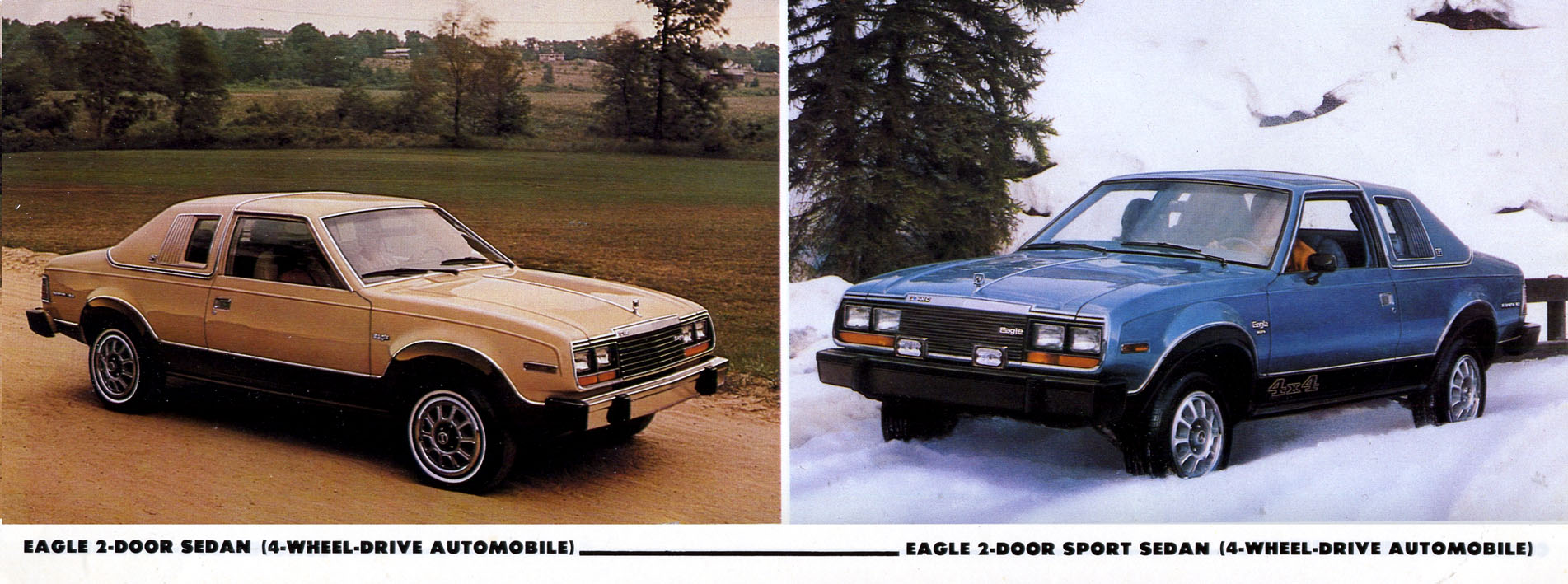 1980_AMC_Full_Line-06