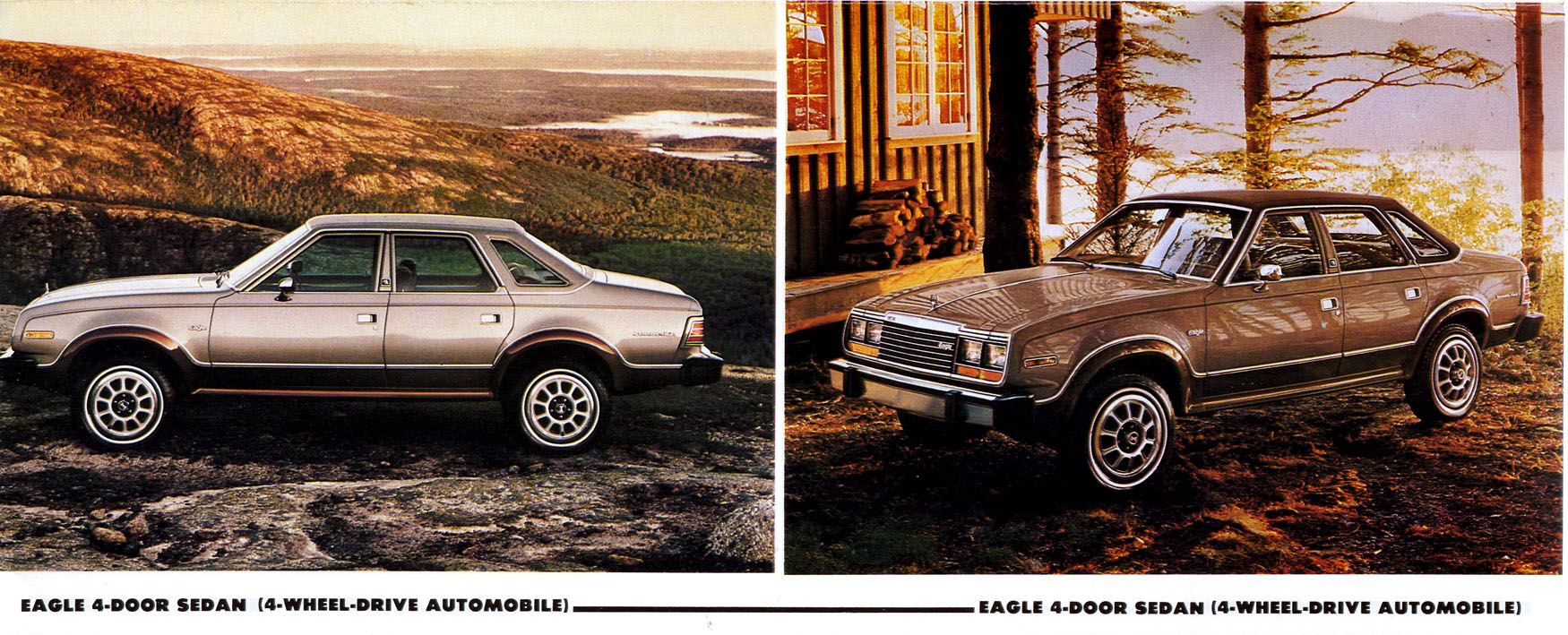 1980_AMC_Full_Line-07