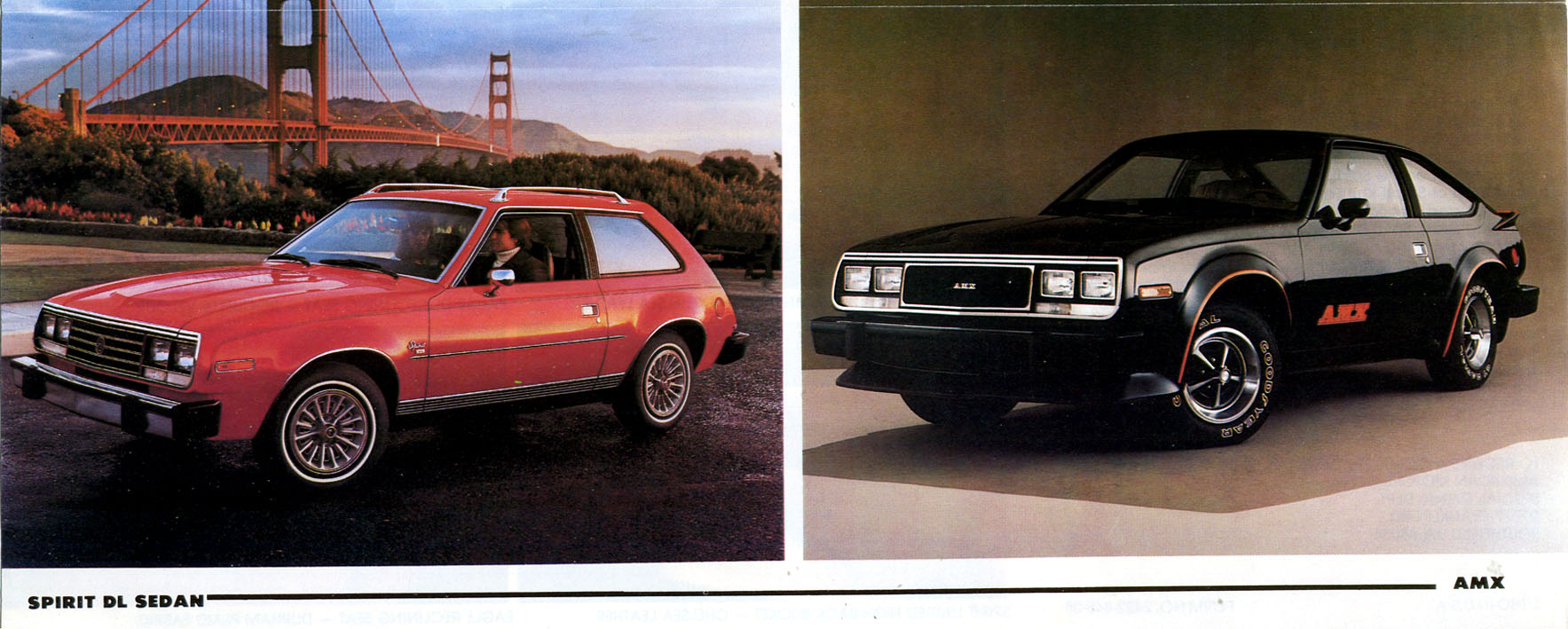 1980_AMC_Full_Line-10