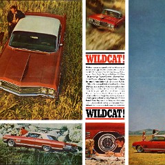 1964 Buick Full Line Prestige-20-21