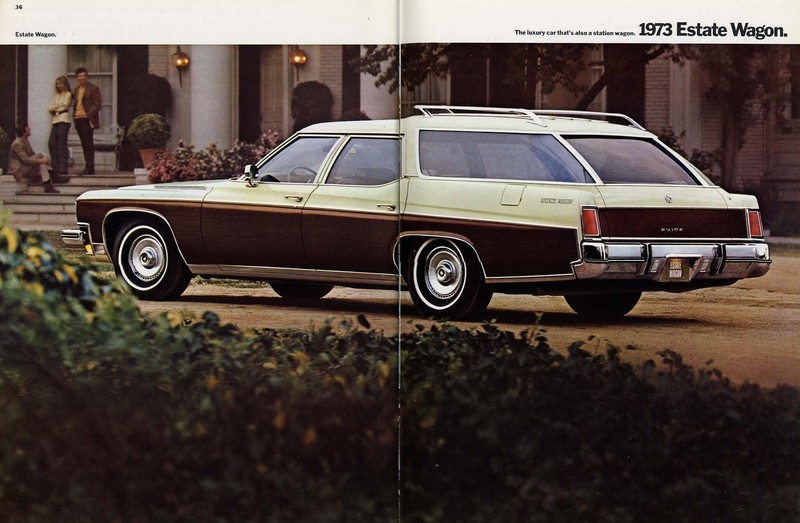 1973 Buick-36-37