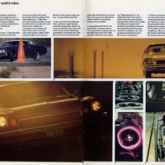 1973 Buick-34-35