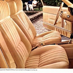 1975 Buick-14