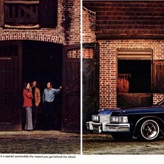 1975 Buick-33